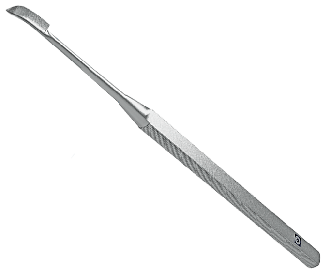 Эндомедиум остроконечный правый