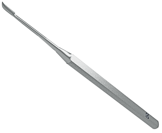 Эндомедиум серповидный