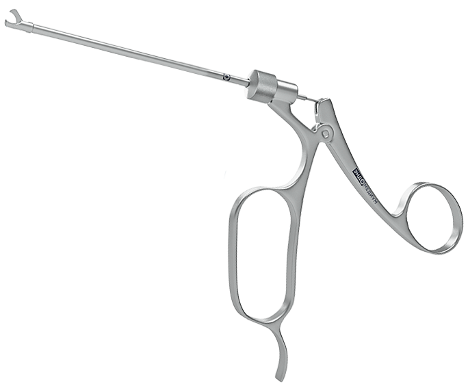 Эндомедиум клювовидные прямые