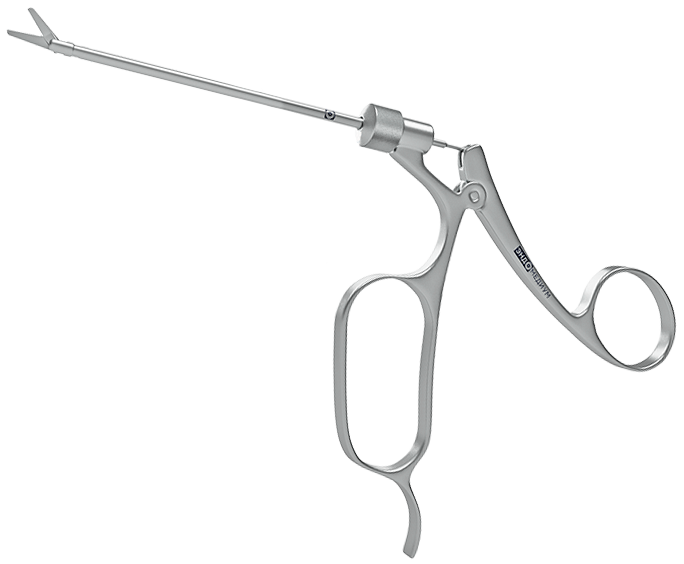 Эндомедиум прямые