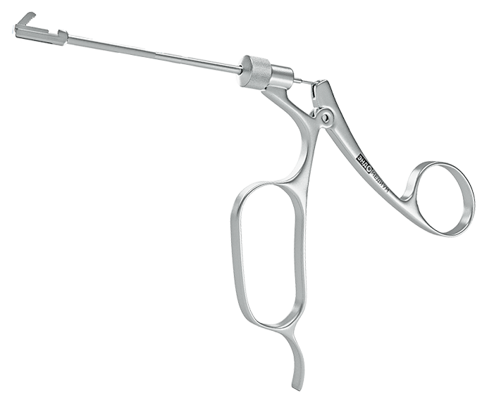 Эндомедиум антральные по ostrum