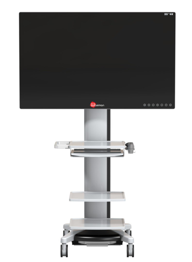 Монитор UHD с разрешением 4К STEINMANN 8155