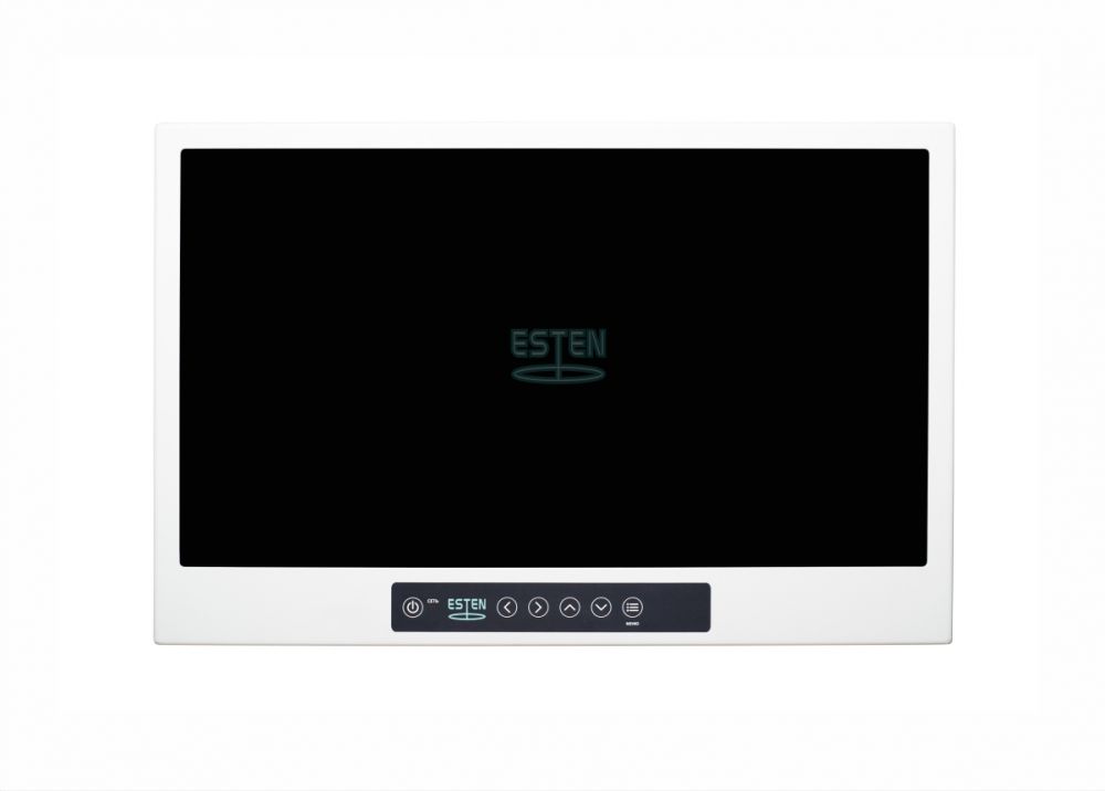 Видеомонитор медицинский 24″