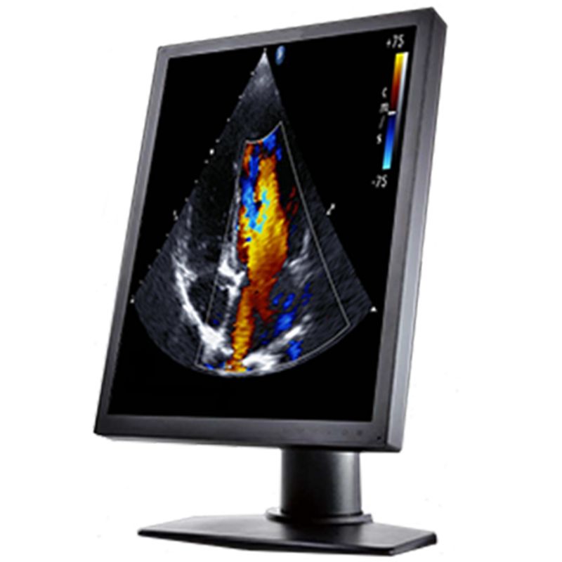Медицинский монитор Double Black Imaging 2MP Color Clinical LCD