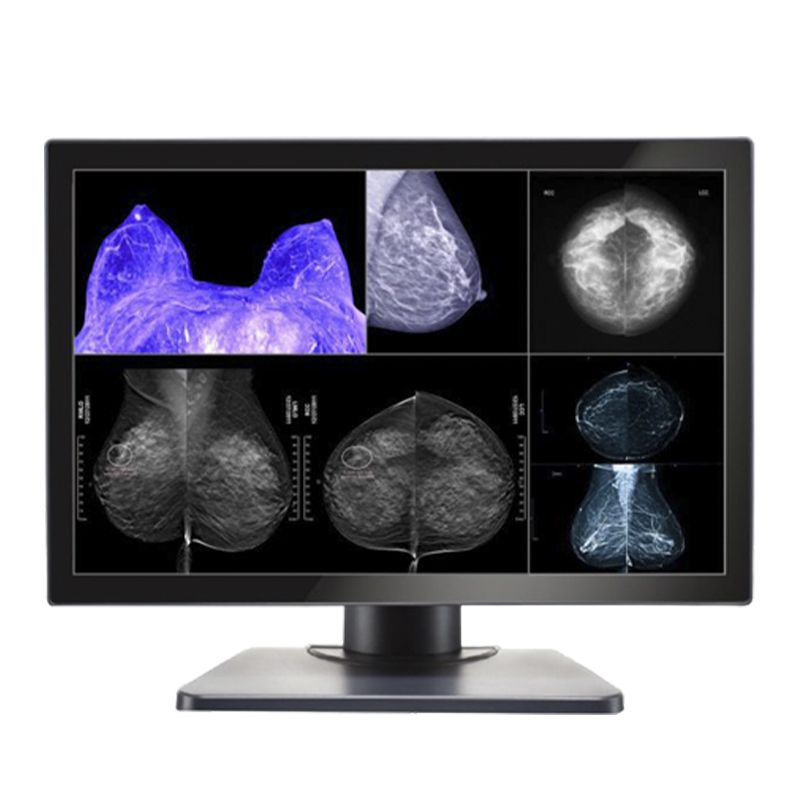 Медицинский монитор Double Black Imaging Image Systems Gemini Series 8MP Large Format Display