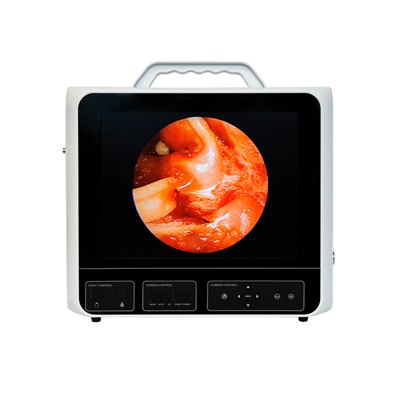 Система эндоскопической визуализации DS.Vision SD 3in1