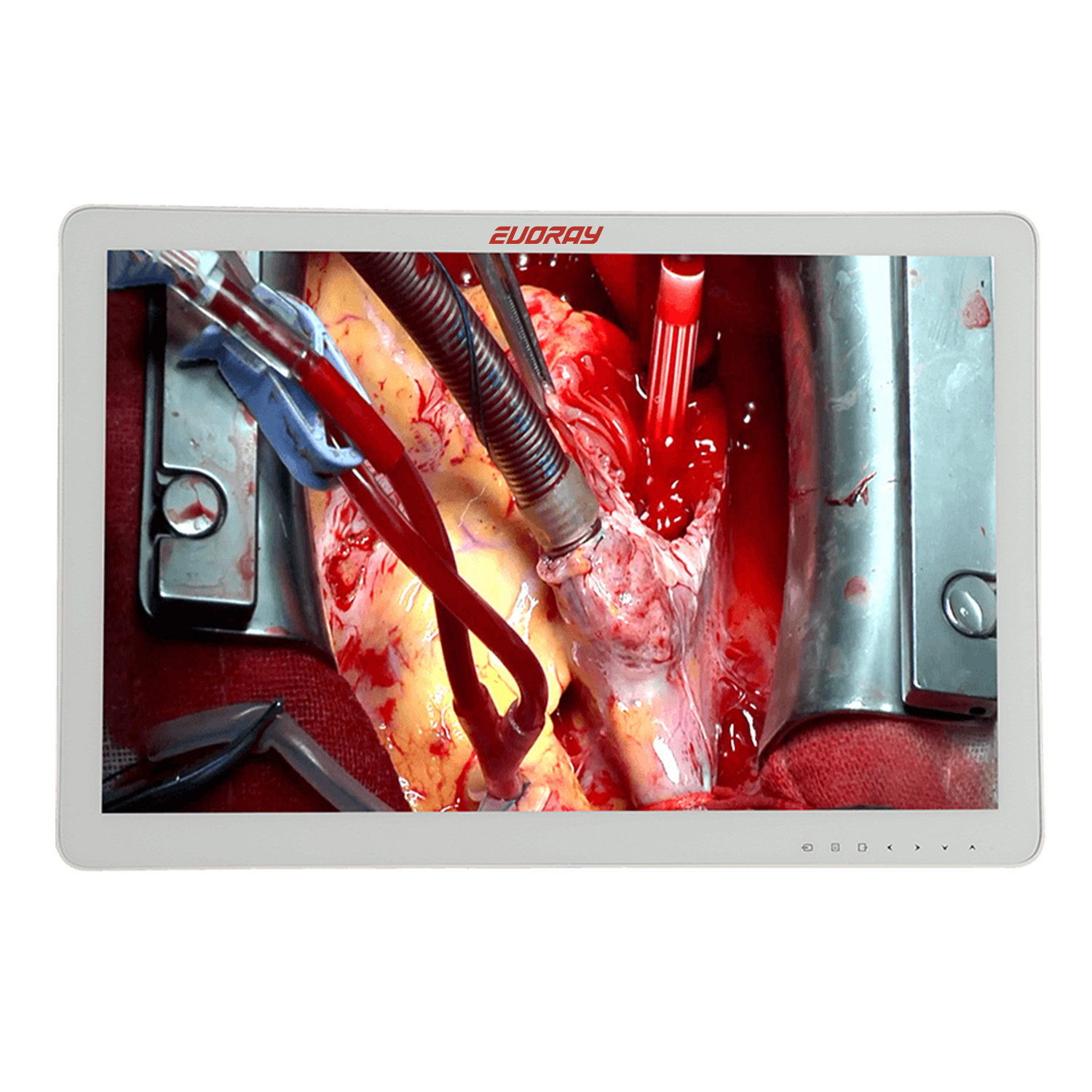 Монитор 32 Full HD эндоскопический-хирургический EVORAY S3221P