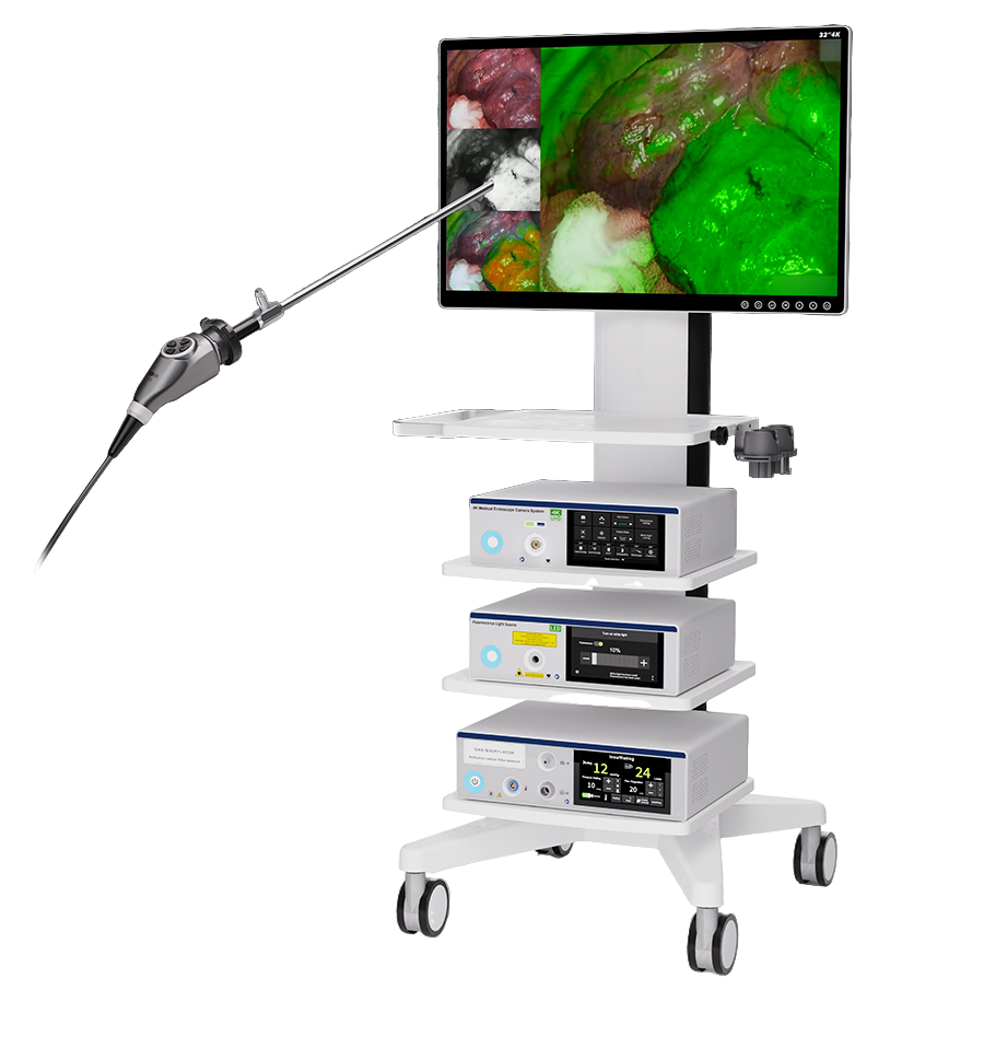 Флюоресцентная эндоскопическая система STEINMANN Wolf Green 4K